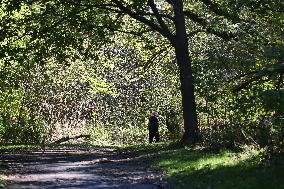 Unseasonably Warm Weather In Southern Ontario