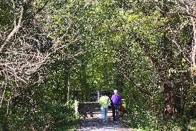 Unseasonably Warm Weather In Southern Ontario