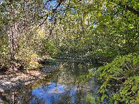 Unseasonably Warm Weather In Southern Ontario