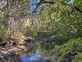 Unseasonably Warm Weather In Southern Ontario