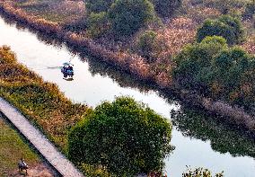 Qiachuan Wetland in The Yellow River in Weinan