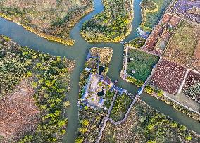 Qiachuan Wetland in The Yellow River in Weinan