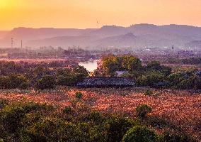 Qiachuan Wetland in The Yellow River in Weinan