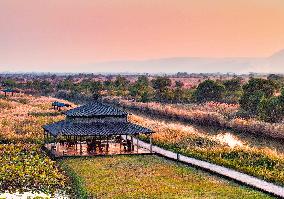 Qiachuan Wetland in The Yellow River in Weinan