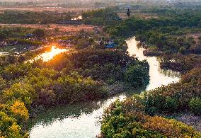 Qiachuan Wetland in The Yellow River in Weinan