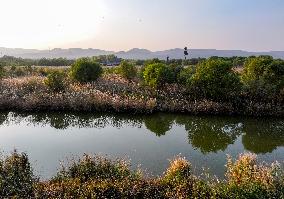 Qiachuan Wetland in The Yellow River in Weinan