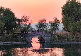 Qiachuan Wetland in The Yellow River in Weinan