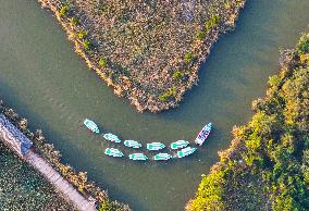 Qiachuan Wetland in The Yellow River in Weinan