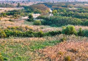 Qiachuan Wetland in The Yellow River in Weinan