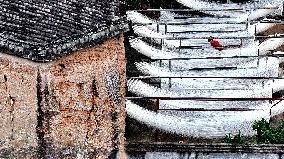 Villagers Dry Noodles at Farm Houses in Fuzhou