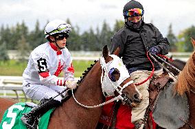 Thoroughbred Horse Racing At Woodbine Racetrack - October 13, 2024