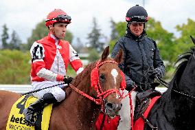 Thoroughbred Horse Racing At Woodbine Racetrack - October 13, 2024