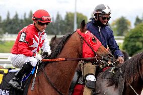 Thoroughbred Horse Racing At Woodbine Racetrack - October 13, 2024