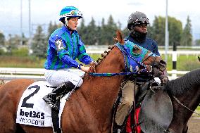 Thoroughbred Horse Racing At Woodbine Racetrack - October 13, 2024