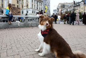 Regular rally in support of Ukrainian POWs in Kyiv