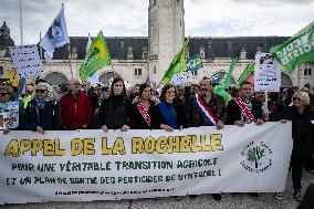 Demonstration Ecolo Against Pesticides - La Rochelle