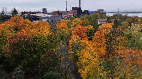 Autumn colours in Helsinki