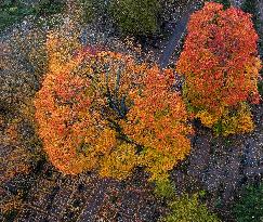 Autumn colours in Helsinki