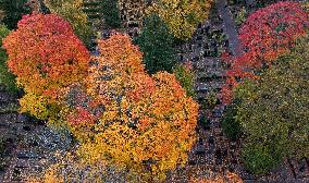 Autumn colours in Helsinki