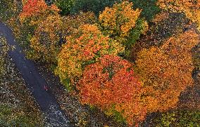 Autumn colours in Helsinki