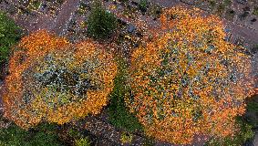 Autumn colours in Helsinki