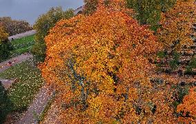 Autumn colours in Helsinki