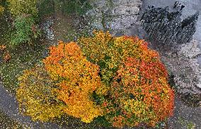 Autumn colours in Helsinki