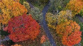 Autumn colours in Helsinki