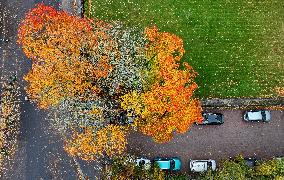 Autumn colours in Helsinki