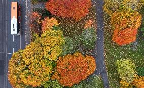 Autumn colours in Helsinki