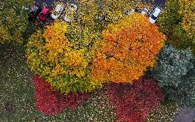 Autumn colours in Helsinki