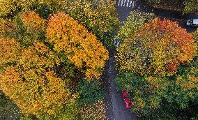 Autumn colours in Helsinki