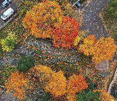 Autumn colours in Helsinki