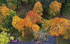 Autumn colours in Helsinki