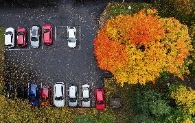 Autumn colours in Helsinki