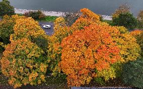 Autumn colours in Helsinki