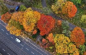 Autumn colours in Helsinki