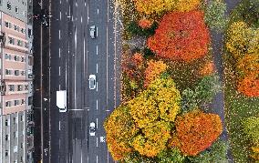 Autumn colours in Helsinki