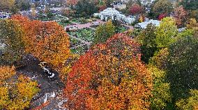 Autumn colours in Helsinki