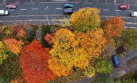 Autumn colours in Helsinki