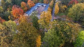 Autumn colours in Helsinki