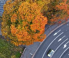 Autumn colours in Helsinki