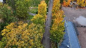 Autumn colours in Helsinki