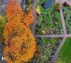 Autumn colours in Helsinki