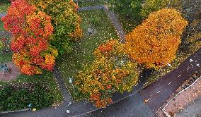 Autumn colours in Helsinki