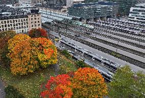 Autumn colours in Helsinki