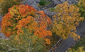 Autumn colours in Helsinki