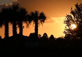 Sunset Between Clouds And Trees, In Florida