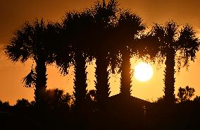 Sunset Between Clouds And Trees, In Florida