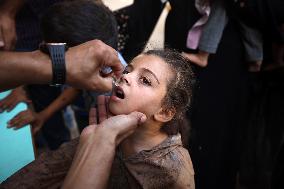 Polio vaccination in Gaza, Palestine